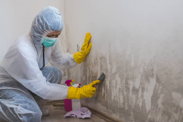 Best Mold Odor Removal Services  in Hartford, SD