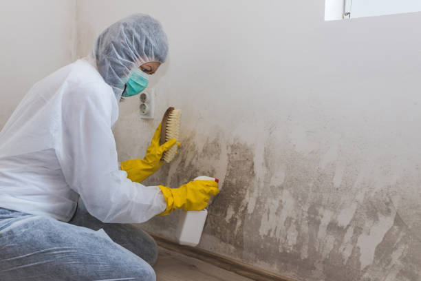 Mold Remediation for Rental Properties in Hartford, SD