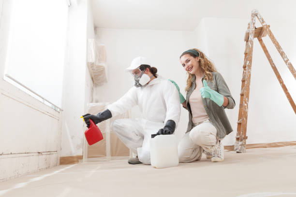 Mold Documentation for Insurance Claims in Hartford, SD